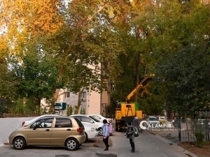 Bugun ob-havo qanday bo‘ladi?