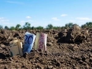 Юқори Чирчиқда ҳокимлик ерини 200 минг долларга сотмоқчи бўлган шахс ушланди 