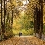 Early-week weather: What to expect?