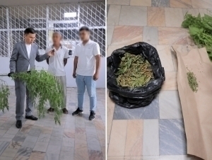6 marta sudlangan fuqaro giyohvandlik o‘simligi bilan ushlandi (video)