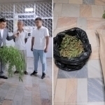 6 marta sudlangan fuqaro giyohvandlik o‘simligi bilan ushlandi (video)