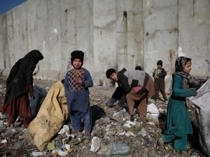 Инсон ҳуқуқлари соҳасидаги вазифаларни бажаришга 400 млн доллар керак – БМТ