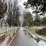 Эртага ҳам ёғингарчилик кузатиладими?