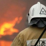 Қозоғистонда юз берган ўрмон ёнғини бўйича жиноий иш очилди