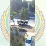 Toshkent shahar IIBB Uchtepadagi voqeaga izoh berdi