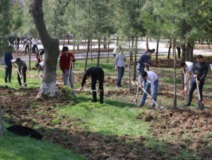 A central park with 200,000 trees will be built in New Tashkent