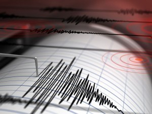 Was the magnitude 5 earthquake in Afghanistan also felt in Uzbekistan?