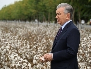 “27 yillik azob”. Mirziyoyev Karimov davridagi paxta siyosatini tanqid qildi