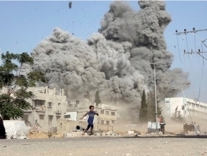 G‘azoliklar ommaviy qirilib ketish yoqasida turibdi