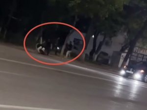 Тошкентда бир гуруҳ йигитлар йўл ёқасида жанжаллашди