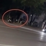 Toshkentda bir guruh yigitlar yo‘l yoqasida janjallashdi