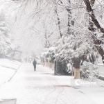 Hafta boshida ob-havo qanday bo‘ladi?