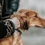 Qozog‘istonda noodatiy yangi bayram nishonlanadi