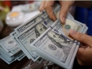 Official exchange rate of the dollar declines again