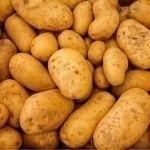 Qishloq xo‘jaligi vazirligi kartoshka narxi qachon tushishini aytdi
