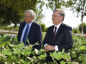 Prezident uch kishini “O‘zbekiston Qahramoni” unvoni bilan taqdirladi