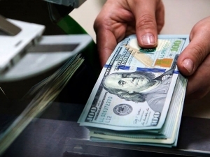 Доллар курси кўтарилди