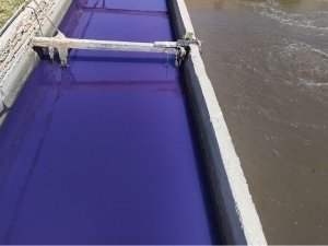 Bo‘zsuv kanaliga tekstil korxonalari bo‘yoq qoldiqlarini oqizmoqda (video)