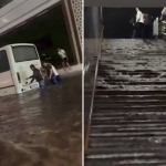 Toshkentni yana suv bosdi (video)