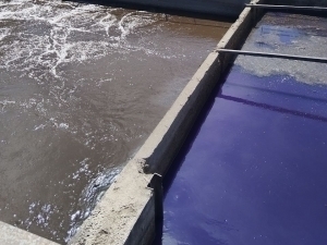 Bo‘zsuvdagi ifloslanish ortidan davlat korxonasiga jinoyat ishi ochildi (video)