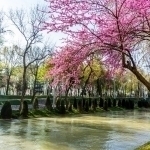 Ertaga havo 20 darajagacha isiydi