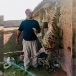Surxondaryoda erkak kamyob sirtlonni o‘ldirib, tabiatga 1 mlrd so‘m zarar yetkazdi