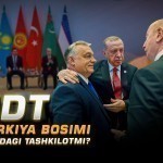 TDT Turkiya bosimi ostidagi tashkilotmi?