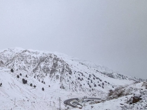 “Qamchiq” dovoni yopildi