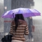 Ertaga qayerlarda yomg‘ir yog‘adi?