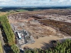 Google Finlyandiyadagi örmonlarni kesgani uçun jinoiy tergovga tortildi