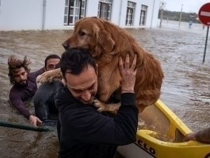 “Leonardo” bo‘roni sabab 11 ming odam evakuatsiya qilindi