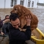 “Leonardo” bo‘roni sabab 11 ming odam evakuatsiya qilindi