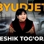 Byudjet. Teshik tog‘ora