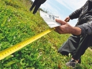 5 gektar yerni 60 ming dollarga sotmoqchi bo‘lgan shaxs ushlandi