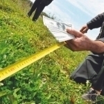 5 gektar yerni 60 ming dollarga sotmoqchi bo‘lgan shaxs ushlandi