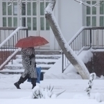 Hafta boshida qanday ob-havo bo‘ladi?