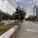 Air pollution in Tashkent exceeds safe levels by 11 times