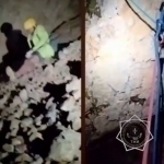 Qozog‘istonda o‘zbekistonlik yigit tog‘dan yiqilib, halok bo‘ldi (video)