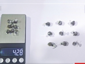 Avtobusda narkotik sotayotgan haydovchi ushlandi