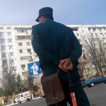 Toshkentda haydovchi YHXB xodimini urib yubordi
