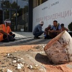 Тошкентда ободонлаштириш ходимлари томонидан чинор дарахтлари кесиб ташланди