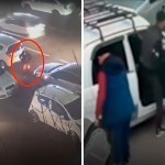 Тошкентда машиналарни ғайриоддий усулда ўғирлаб келган жиноий гуруҳ қўлга тушди