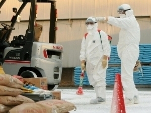 Японияда парранда гриппи авж олди