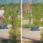 Citizen stabs a student eight times in Kashkadarya