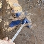 Wall paintings dating back to 10th–11th centuries found in Tashkent region