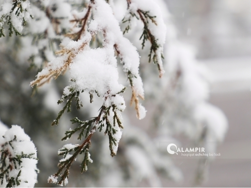 O‘zbekistonda bu hafta qor yog‘ishi mumkin