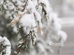 Snow possible in Uzbekistan this week