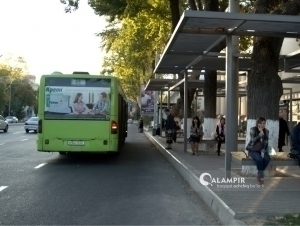 Toshkentda avtobus piyodani urib yubordi