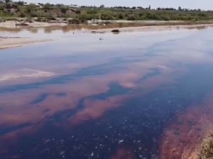 Қумқўрғонда нефть дарёга оқиб кетди (видео)