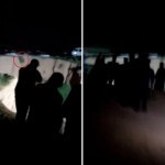 Қашқадарёдаги қишлоққа бориб қолган айиқ отиб ўлдирилди. Бунга ким буйруқ берди? (видео)